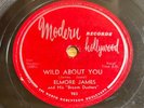 Elmore James Wild About You