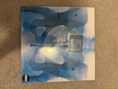 Lorde VIRGIN GATEFOLD X-Ray Picture Disc Vinyl LP AUTOGRAPHED SIGNED