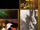 Sonic Youth Sister Records & LPs New