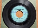 THE LIVELY ONES Surf Rider/Surfer's Lament RARE DEL-FI 45 7
