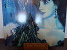 ENYA-SHEPERD MOONS, VINYL LP, 1991 EUROPE, EX/EX