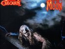Ozzy Osbourne Bark At the Moon LP vinyl UK Epic 1986 reissue LP with Nice Price