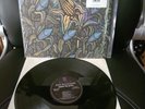 Bad Religion - Against The Grain (1990) LP Vinyl Punk US Punk Hardcore