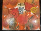 That Lucky Old Sun by Brian Wilson (Record, 2008) 3  albums, and 3  key chains