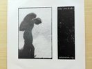 The Orchids “Penetration” UK 12” Single Sarah Records SARAH 42 with Insert