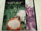 Superchunk, Here’s Where The Strings Come In, 12” Vinyl, 1995, Indie Rock