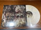Vomitory – Carnage Euphoria - NM Sand Beige Marbeled