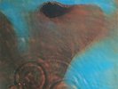 Pink Floyd Meddle Vinyl LP Japan (White Vinyl)