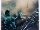 STEELY DAN KATY LIED ABC YW8052AB Japan INSERT VINYL LP