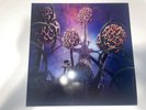 BLUT AUS NORD - Hallucinogen BLACK METAL VINYL
