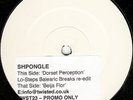 Shpongle - Dorset Perception - UK Promo 12