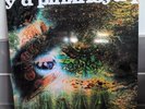 PINK FLOYD - A SAUCERFUL OF SECRETS 2022 EU REMASTER VINYL LP PFRLP30 MONO EX/EX