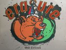 Erasure - The Circus (Live) (12