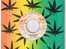 #2 ROOTS REGGAE 45 EEK A MOUSE LABEL RIPTON HYLTON 