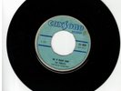 #161 SKA REGGAE 45 COXSONE 1968 THE TERMITES 