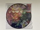 Stargazer Lillies RARE PICTURE DISC We Are The Dreamers Ambient NM/NM