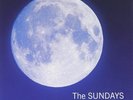 The Sundays - Static & Silence (LP, Album, RE, RM, 140) (Mint (M)) - 3737836858