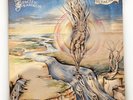 Pacific Eardrum - Beyond Panic RARE UK  Vinyl LP CAS1136 1978