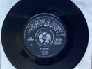 The Untamed - It's Not True - Planet Records Rare Mod Psych 60's Single