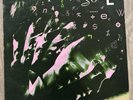 THE PLIMSOULS Everywhere At Once vinyl LP 1983 Original Pressing Ultrasonic Clea