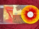ENTER SHIKARI A FLASH FLOOD OF COLOUR 12