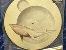 Gojira From Mars To Sirius Picture Disc Double LPs