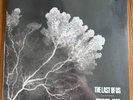 Pearl Jam 'Last of Us' RARE Black Metallic Splatter Vinyl SHIPS ASAP