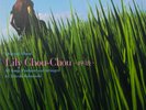 Lily Chou Chou Breathing Vinyl soundtrack from Shunji Iwa