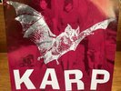 Karp - Freighty Cat RARE 1993 US 7” Vinyl NM/VG+ Atlas 001