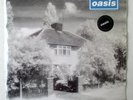 RARE OASIS 7