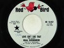 Teen Rocker 45 - Ral Donner - Love Isn't like that - Red Bird