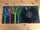 Tapes n Tapes The Loon Vinyl
