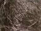 Harold Budd ▪ Elizabeth Fraser ▪ Robin Guthrie ▪ Simon Raymonde - The Moon And T