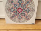 Red Hot Chili Peppers I’m Beside You 2 LP RSD 2013 Limited Numbered 0981/5000