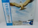 Masayoshi Takanaka SEYCHELLES Limited Clear Blue Color Record Vinyl record Japan