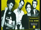 UK Subs : Peel Sessions 1978-79 VINYL 12