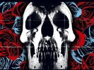 Deftones - Deftones vinyl LP NEW/SEALED IN STOCK