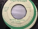 Erol Walker - Better Feature - Rare 1977 Roots Dub Reggae 45