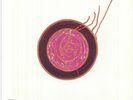 SUN RA - Sleeping Beauty (reissue) - Vinyl (LP + insert)