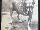 Alice in Chains 3rd studio dbl LP vinyl clean, unplayed promo OG '95 Pressing