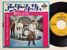 The Rolling Stones 