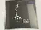 Arctic Monkeys - My Propeller  7