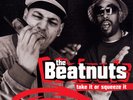 The Beatnuts - Take It Or Squeeze It (Vinyl 2LP - 2001 - US - Original)