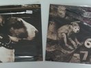 Two PIXIES 45's Here Comes Your Man & Monkey Gone To Heaven NM Import Wax Trax