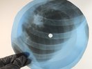 JIMI HENDRIX HEY JOE X-Ray USSR Record Roentgen Bone Ribs Music Vinyl