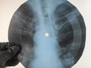 BEATLES SHES LEAVING HOME X-Ray USSR Record Roentgen Bone Ribs Music Vinyl