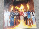 Lynyrd Skynyrd Street Survivors Vinyl LP 1977 Flames Cover MCA 3029 Gatefold