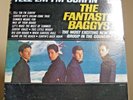 THE FANTASTIC BAGGYS 