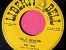 THE TADS - Your Reason / The Pink Panther - super clean 45 rpm Liberty Bell 9010