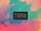 LP Funeral For A Friend Between Order And Model TRANSLUCENT VINYL NEW OVP